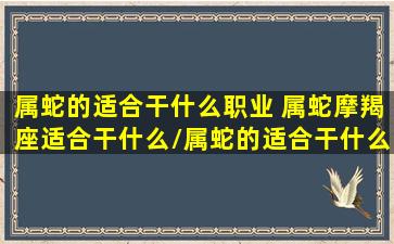 属蛇的适合干什么职业 属蛇摩羯座适合干什么/属蛇的适合干什么职业 属蛇摩羯座适合干什么-我的网站